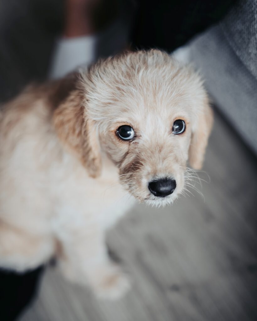 Photo by Matthew Foulds on Unsplash